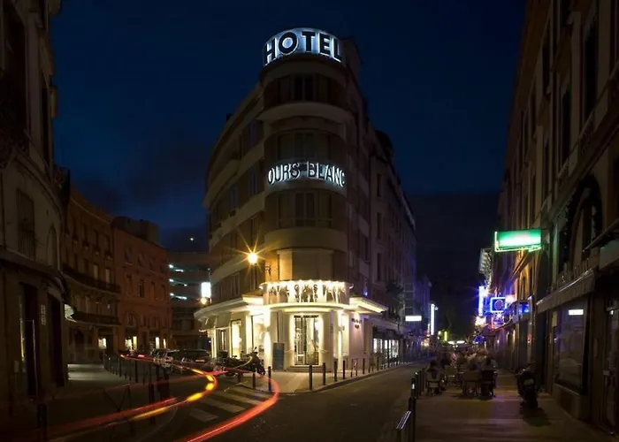 Ours Blanc - Wilson Otel Toulouse